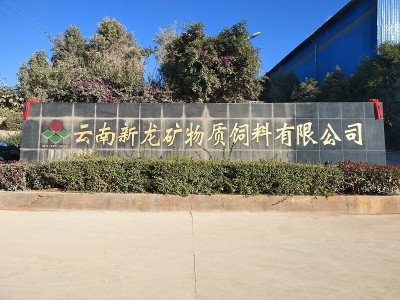 云南新龍礦物質飼料有限公司安防監控系統建設
